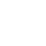 ระบบรองรับแรงสั่นสะเทือน